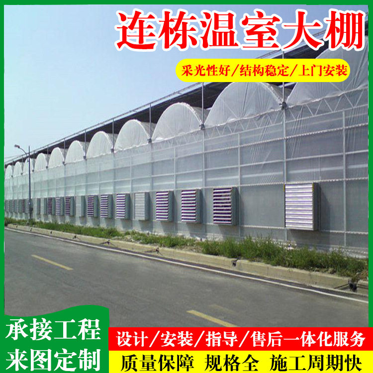 农业外遮阳温室大棚 连栋连体大棚拱棚 恒温薄膜大棚草莓种植大棚