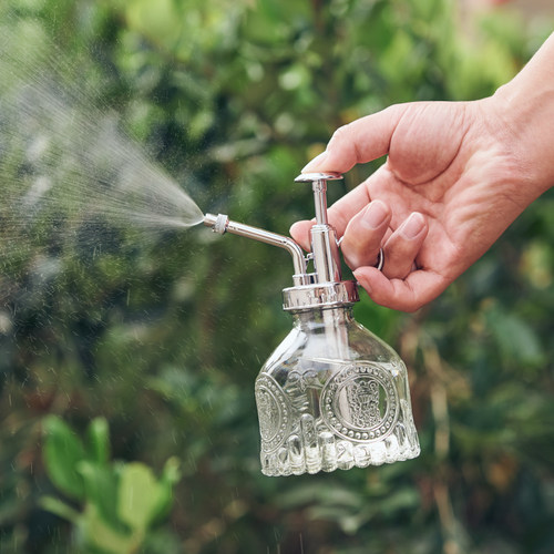 北欧风格玻璃喷壶鲜花园艺用品