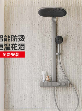 TOTO恒温淋浴花洒TBW14SC/SD/UC/UD/WC0C新款置物手持花洒(05-L)