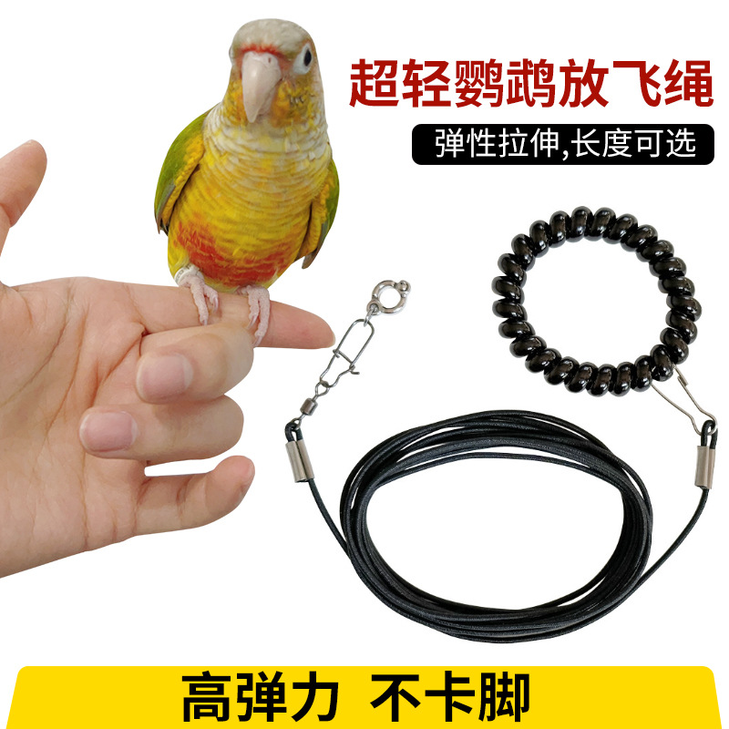 鹦鹉放飞绳鸟小宠用超轻牵引延长绳虎皮牡丹玄凤小太阳和尚遛鸟