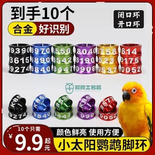 小太阳鹦专用鹉脚环鸟用识别环开口闭口活扣超轻放飞钛合金雏幼鸟
