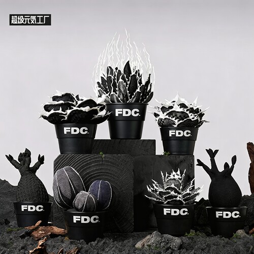 FDC龙舌兰植物家居摆件乔迁礼物