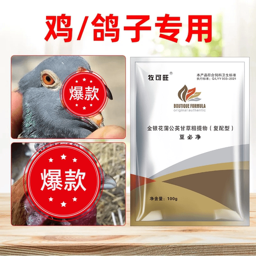 牧可旺豆必净鸽子痘肉鸽信鸽赛鸽