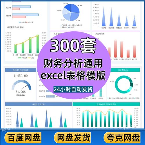 财务分析表excel表格公司收入利润会计数据统计分析报表可视化看