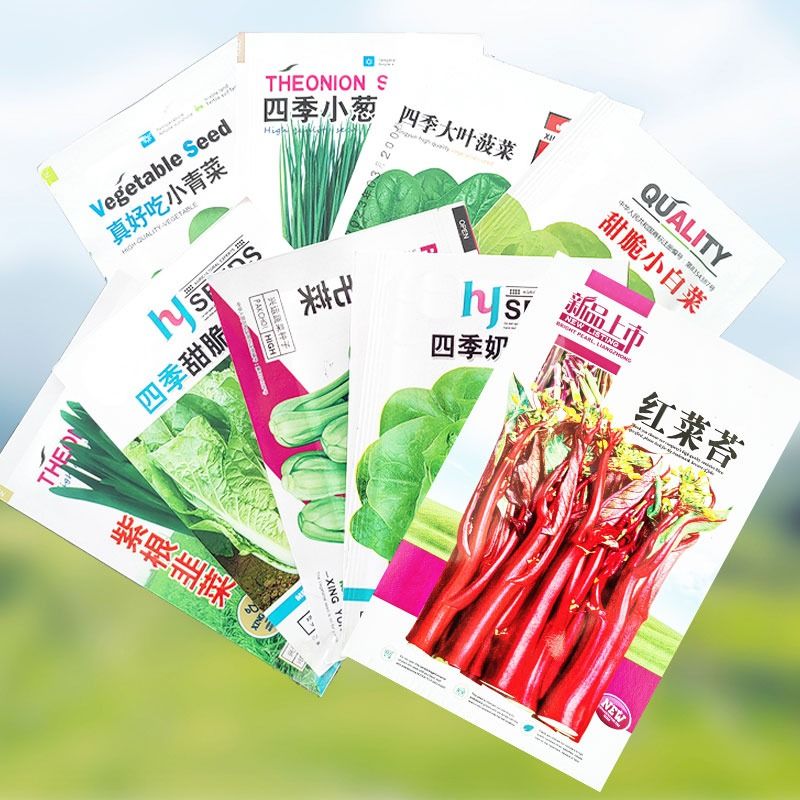 四季播种蔬菜子青香生黄瓜