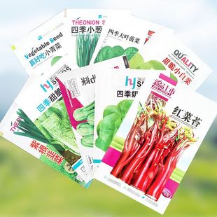 播種蔬菜種子青菜香菜生菜黃瓜陽臺盆栽早熟種苗水果 四季