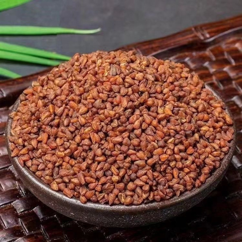 苦荞茶特级一等品苦荞茶四川大凉山黑珍珠四川荞麦茶全胚芽香