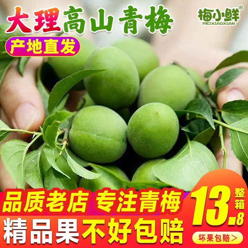 青梅果新鲜云南大理梅子泡青梅酒酸梅酒酵素鲜果醋梅小鲜果农直发