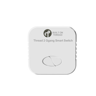 alexa 智能控制器支持苹果homekit google智能开关 Thread Matter