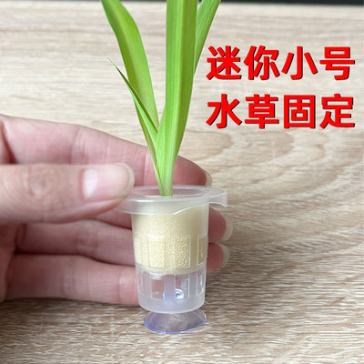 鱼缸水培定植篮盆栽固定架绿萝