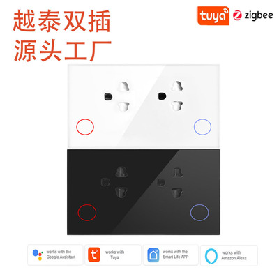 越南泰规15A计电智能插座