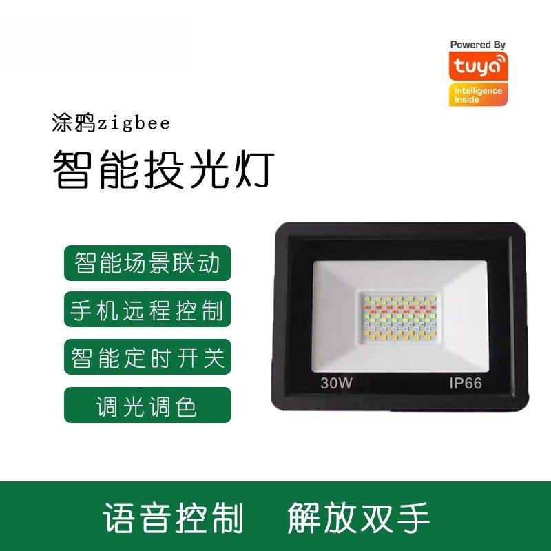 涂鸦Zigbee智能户外投光灯