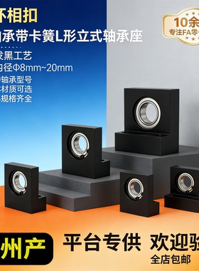 LTKC BGLKB BGF01L型带座轴承 单轴承带卡簧 立式轴承座6204 6903