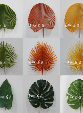 绿植仿真蒲扇叶芭蕉叶插花配叶子