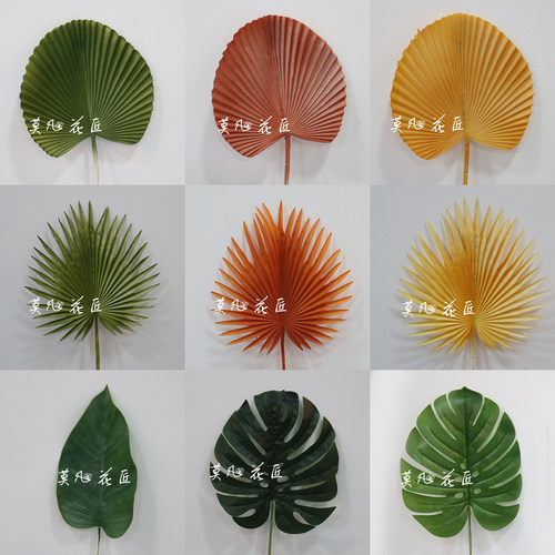 绿植仿真蒲扇叶芭蕉叶插花配叶子