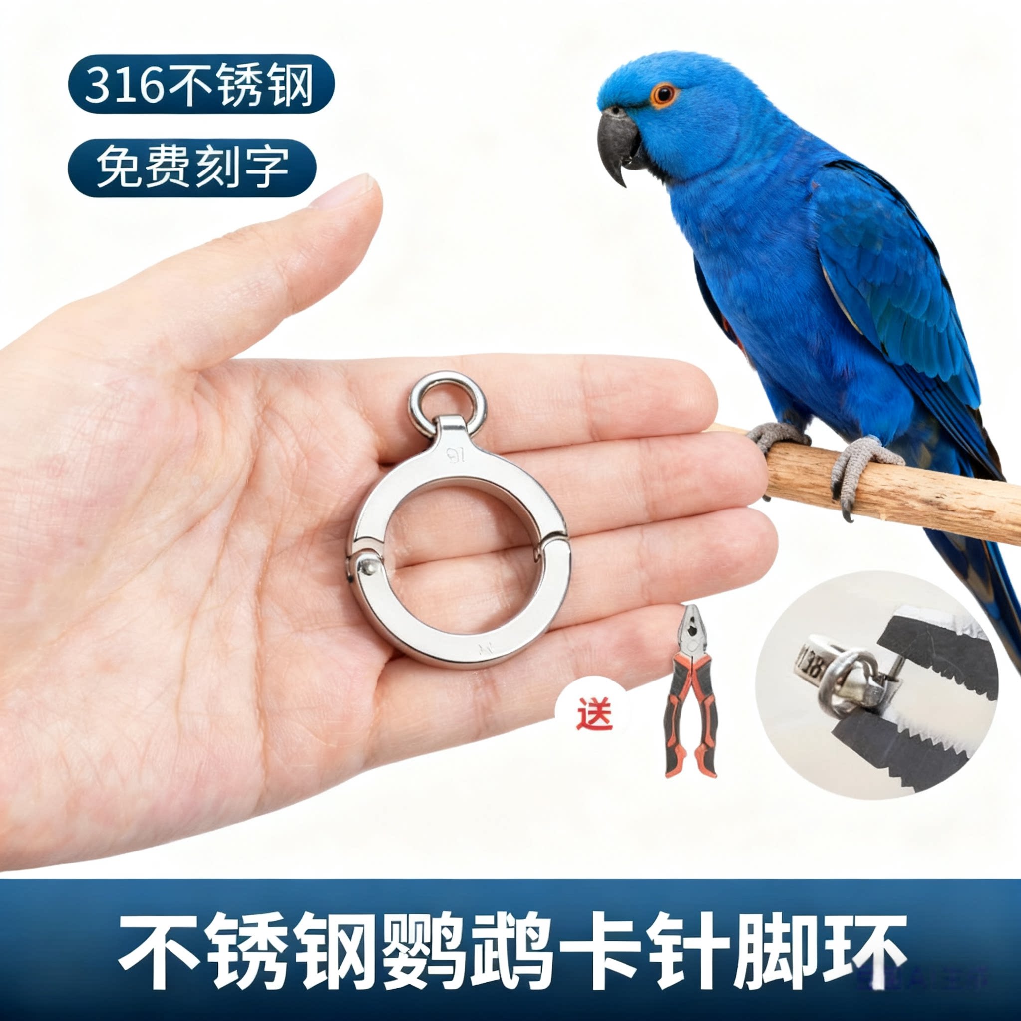 高品质卡针鹦鹉脚环一生之环