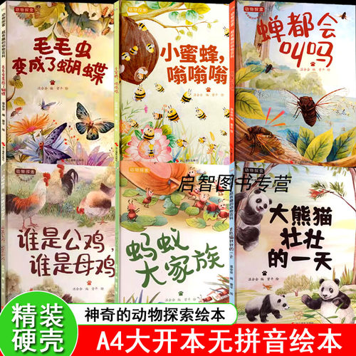 硬壳精装绘本关于动物探