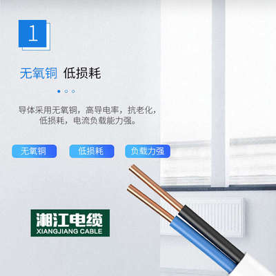 湘江电线BVVB2芯1.0/1.5/2.5/4/6平方护套线家用双铜芯明装平行线