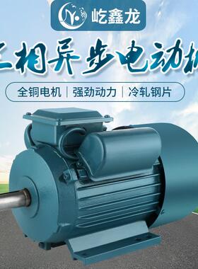 YL1M系列2220v单相异步1电动机371国标全铜3W/4W双电容电机高效能