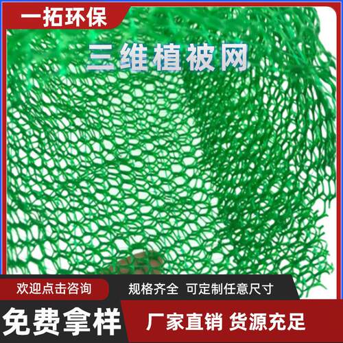 家定制三坡维植被网 108斜坡护植草绿化植被垫 厂P网E三维植被网