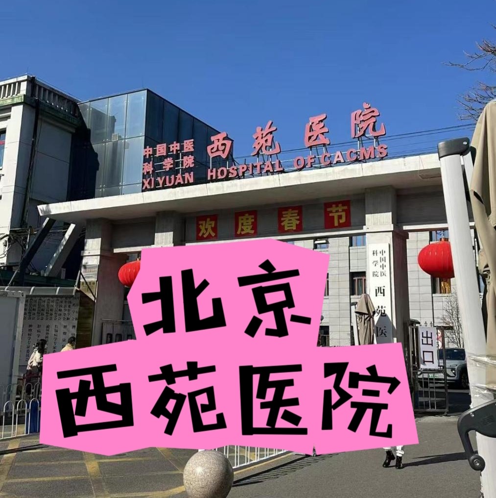 西~苑红枣睡眠酸枣仁膏安神桑葚草本膏枸杞特级饮品2