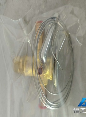 询价丹佛斯TGES膨胀阀，型号5TR，全新原装