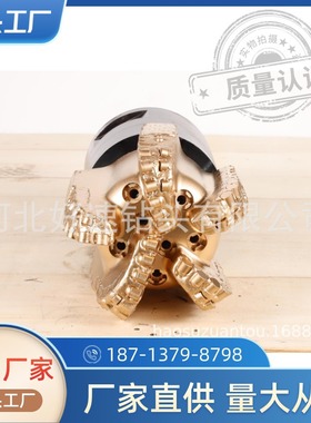 石油钻采机械PDC钻头9 1/2英寸241.3mm钢体金刚石PDC钻头