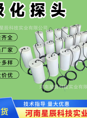 CPTC-1预包装极化探头 普通型/极化探头阴极保护 埋地型测试探头