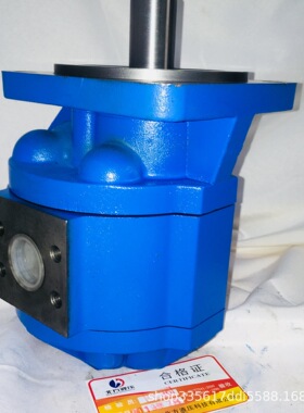 供应 CMG2100-B1齿轮马达 多种规格