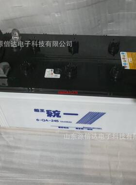6-CQA-245N245蓄电池12V245AH船舶发电机组专用
