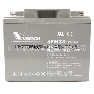 威神VISION蓄电池6FM38 免维护12V38AH EPS/UPS直流屏电源专用