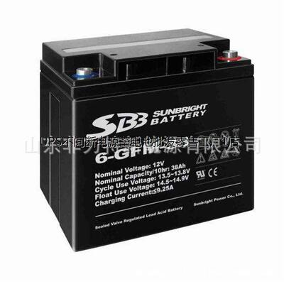 SBB圣豹蓄电池6-GFM-38免