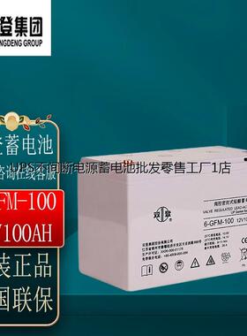 双登蓄电池6-GFM-40 65 100 150 200AH 12V40AH 铅酸免维护应急UP