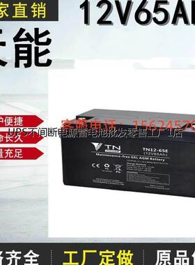 TN天能蓄电池TN12-120E 12V120AH铅酸免维护电梯机房UPS EPS