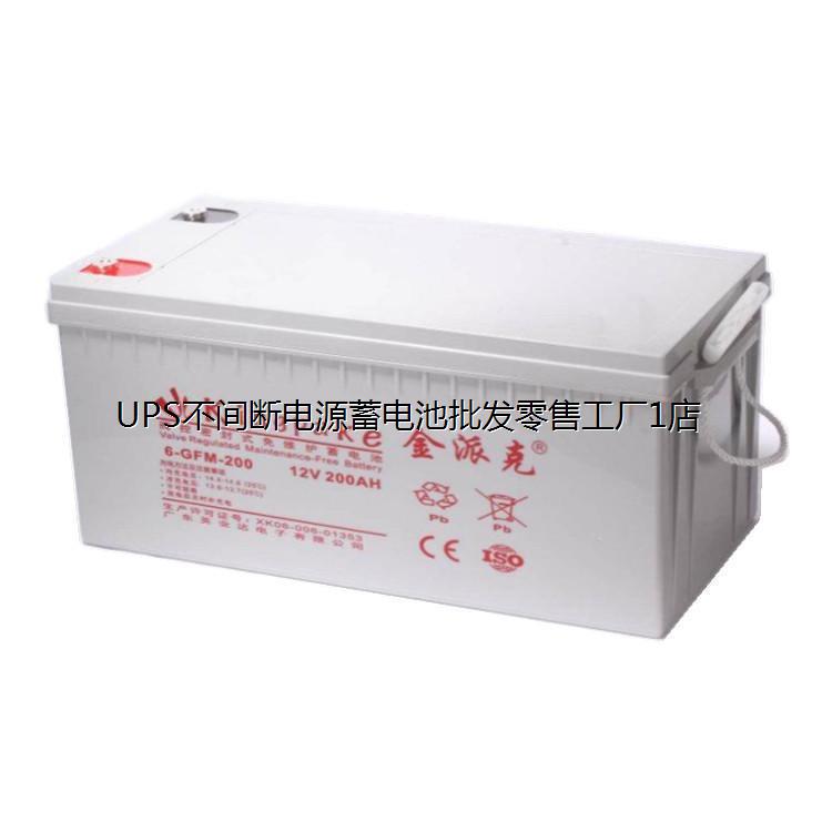 金派克铅酸蓄电池6-FM-20