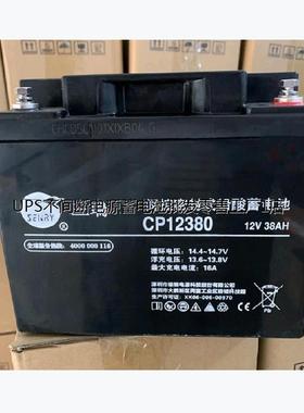 三瑞蓄电池12V38AH消防设施免维护CP12380直流屏 机房 质保三年