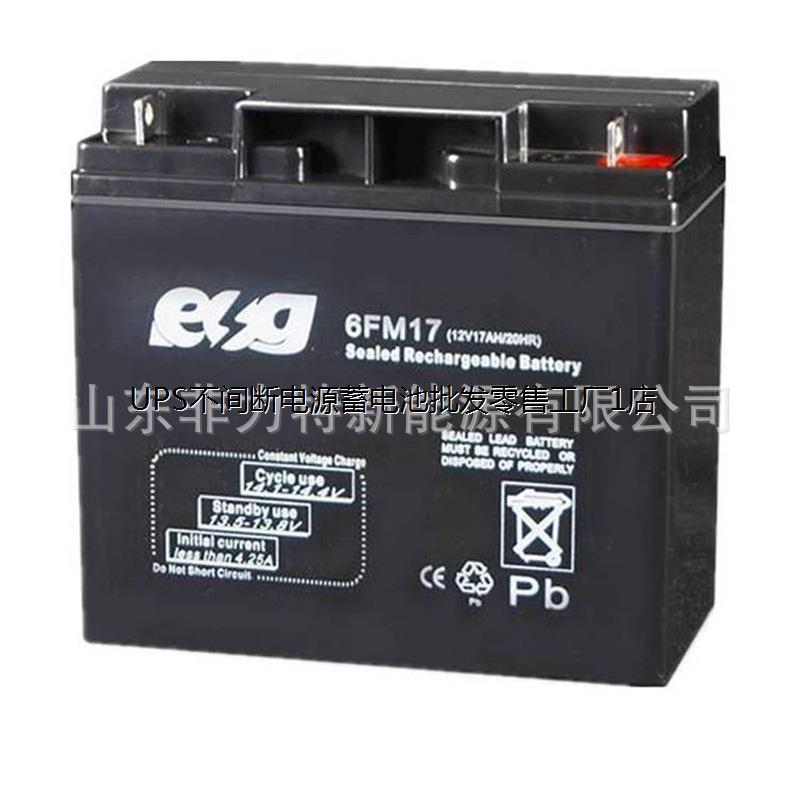 ESG蓄电池6GFM1712VAH/1