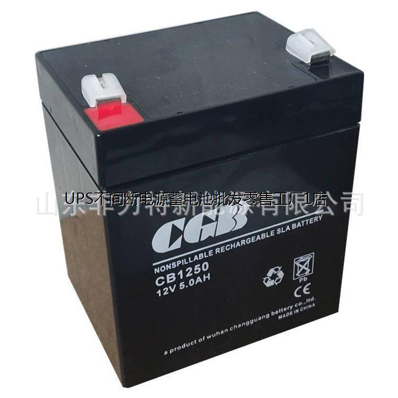 CGB长光/1270免维护铅酸