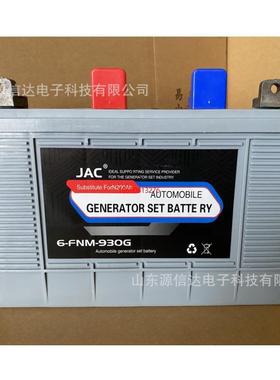 柴油发电机组专用蓄电池6-FNM-930G免维护12V启动电瓶N200