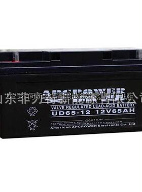 APCPOWER蓄电池 UD65-12 艾佩斯电池12V65AH 太阳能 船舶 UPS电源