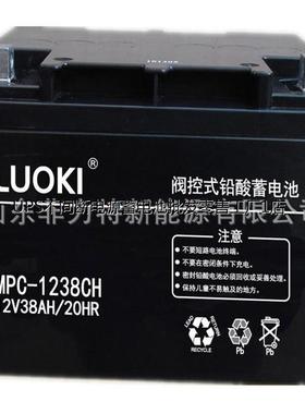 洛奇LUOKI蓄电池MPC12-38 12V38AH/20HR机房 UPS电源配套
