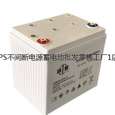 双登蓄电池6-GFM-100阀