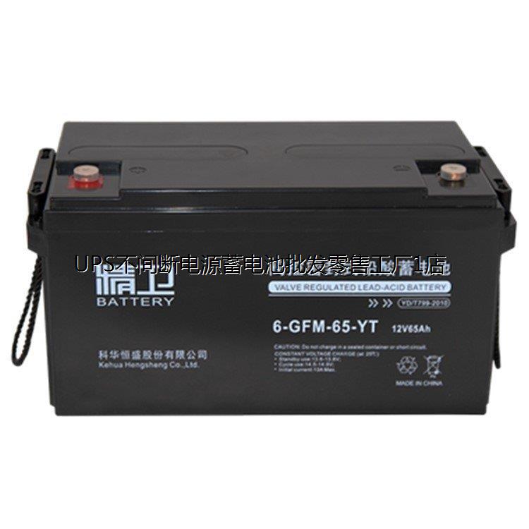 精卫蓄电池6-GFM-120-YT