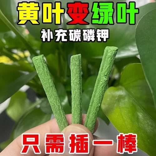三色植物营养棒缓释棒盆栽花卉多肉通用型缓释营养棒养花肥急救棒