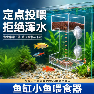 鱼缸小鱼喂食器鱼食投喂器防飘散喂鱼投食圈喂食圈下沉透明亚克力