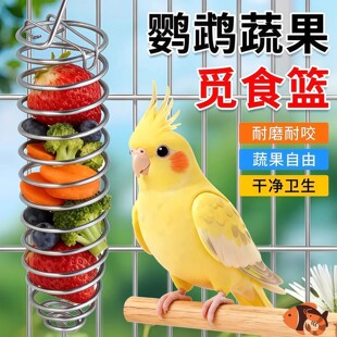 宠物喂食用具鹦鹉玄凤虎皮小鸟水果叉蔬菜苹果鸟用喂食器悬挂进食
