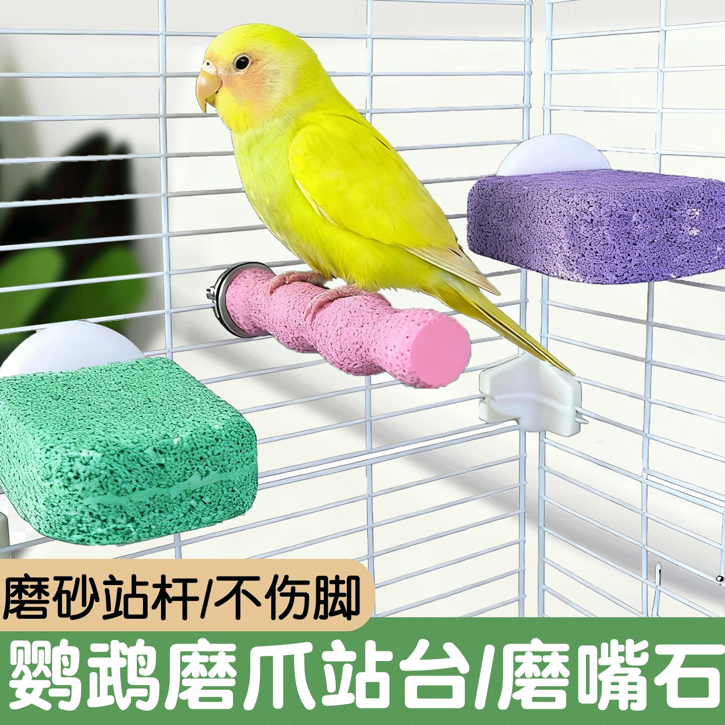 鹦鹉磨牙棒专用磨砂站杆磨嘴神器休息站台小鸟磨爪棒玩具用品大全