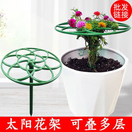 太阳花架子造型棒棒糖支架单层多层支撑架爬藤固定蟹爪兰支撑杆子