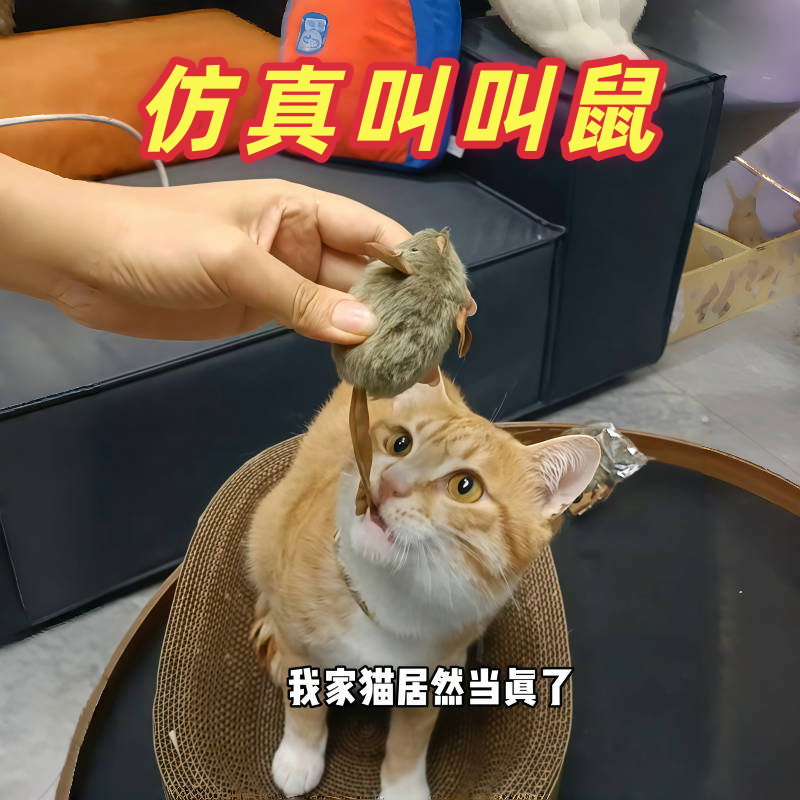 猫咪玩具叫叫鼠智能感应轻触发声