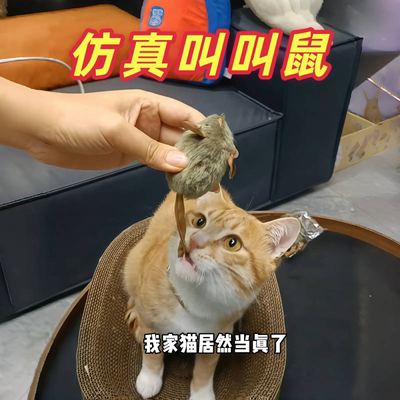 猫咪玩具叫叫鼠智能感应轻触发声